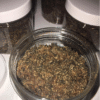 Buy changa DMT online TEXAS