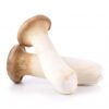 Buy King Oyster Mushrooms online USA
